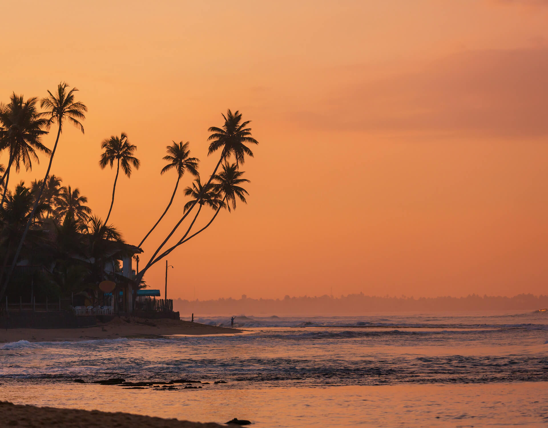 Galle & Bentota Coastal Day Tour